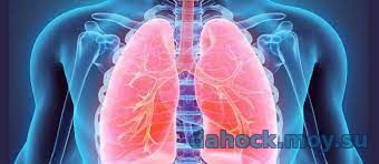 Лёгкие и пульмонология (наука, изучающая заболевания легких и дыхательных путей)